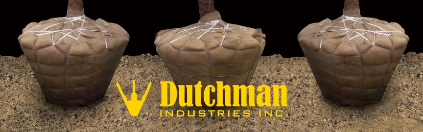 Dutchman Rootball